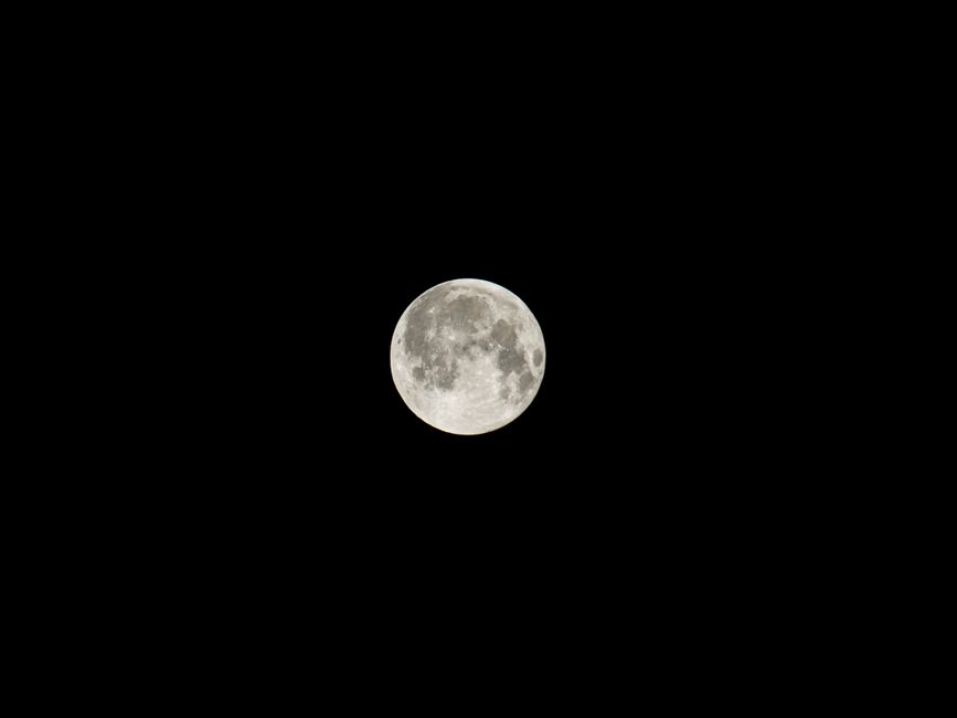 満月の夜に海面を照らす月光と釣り竿のシルエット