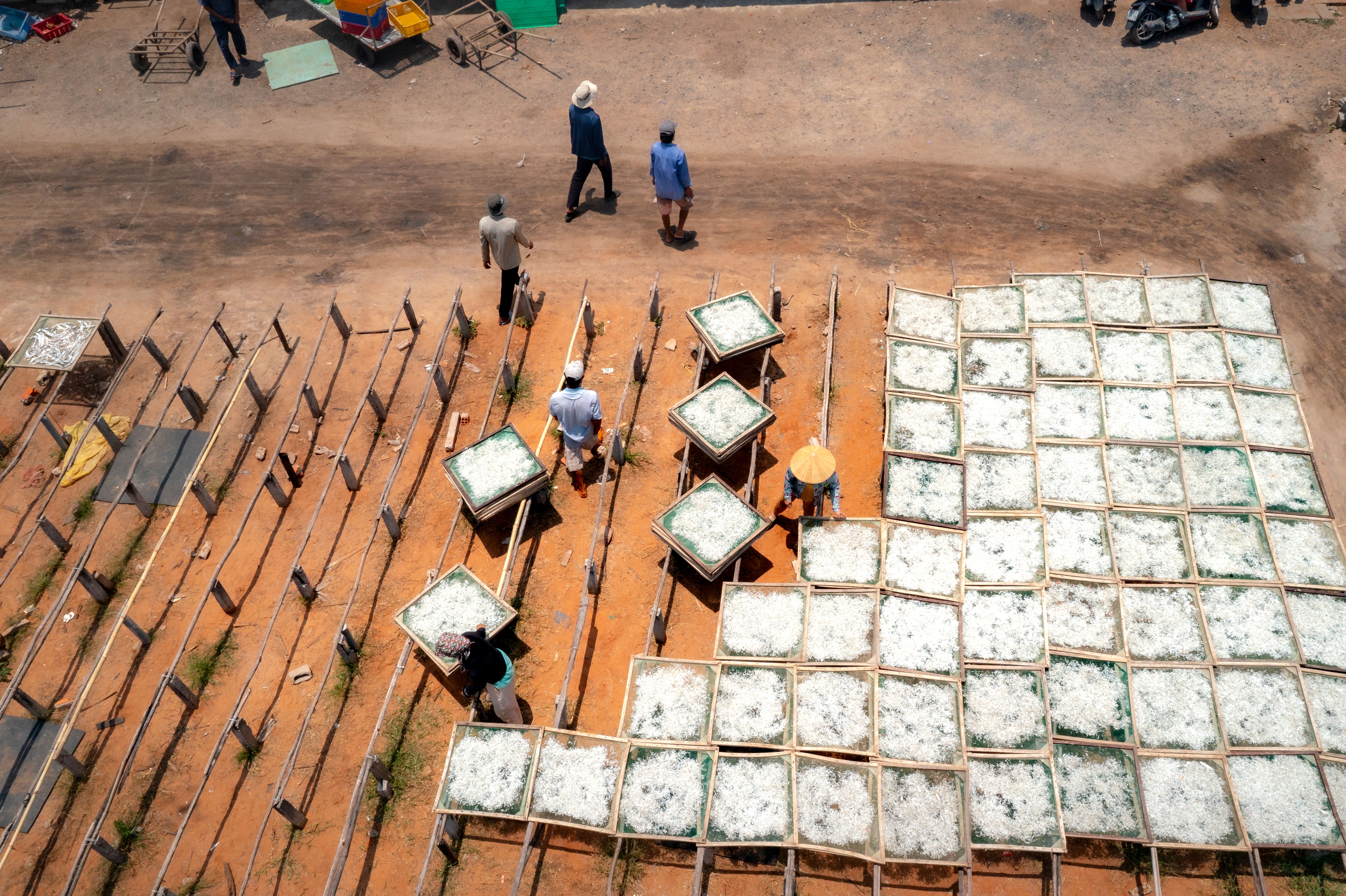 Aerial View of Fish Drying Racks in Vietnam · Free Stock Photo