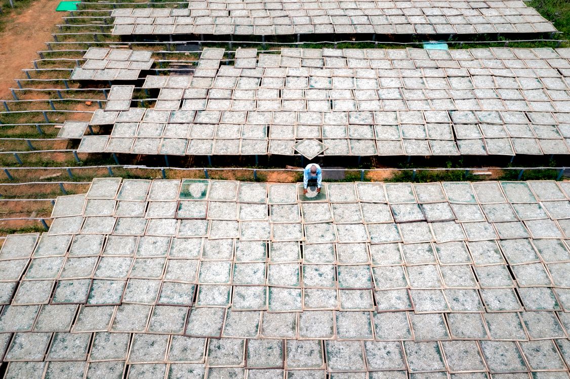Mats Drying Rice Aerial View of Noodle Drying Mats in Rural Vietnam · Free Stock Photo
