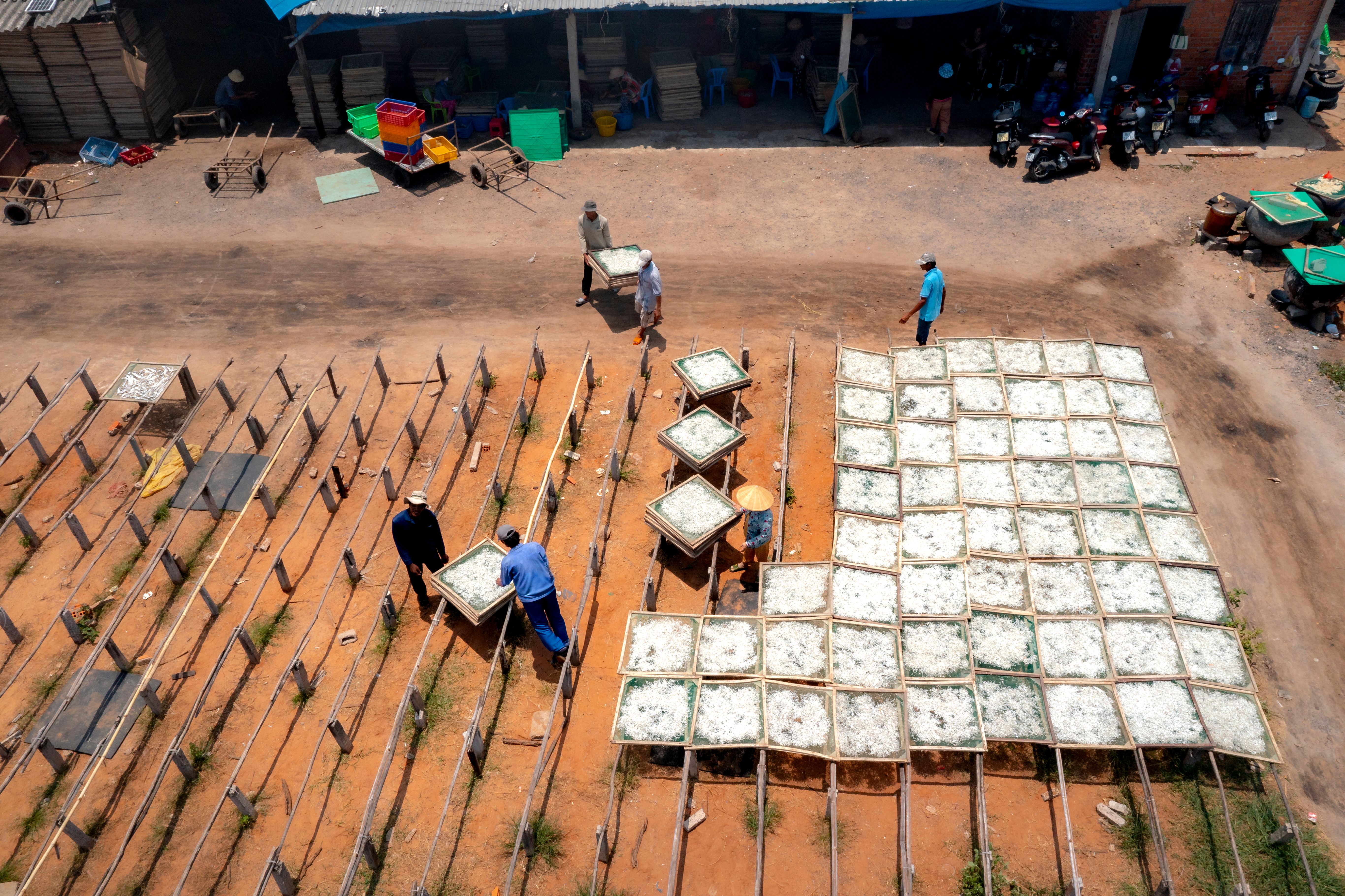 Aerial View of Fish Drying Racks in Vietnam · Free Stock Photo