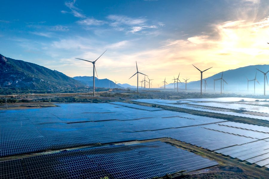 Sustainability professionals at work