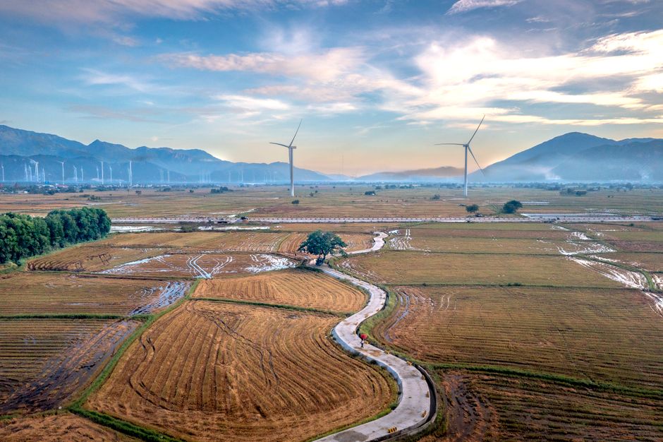 Immagine di copertina: Il Vietnam punta sull'intelligenza artificiale per il proprio salto tecnologico
