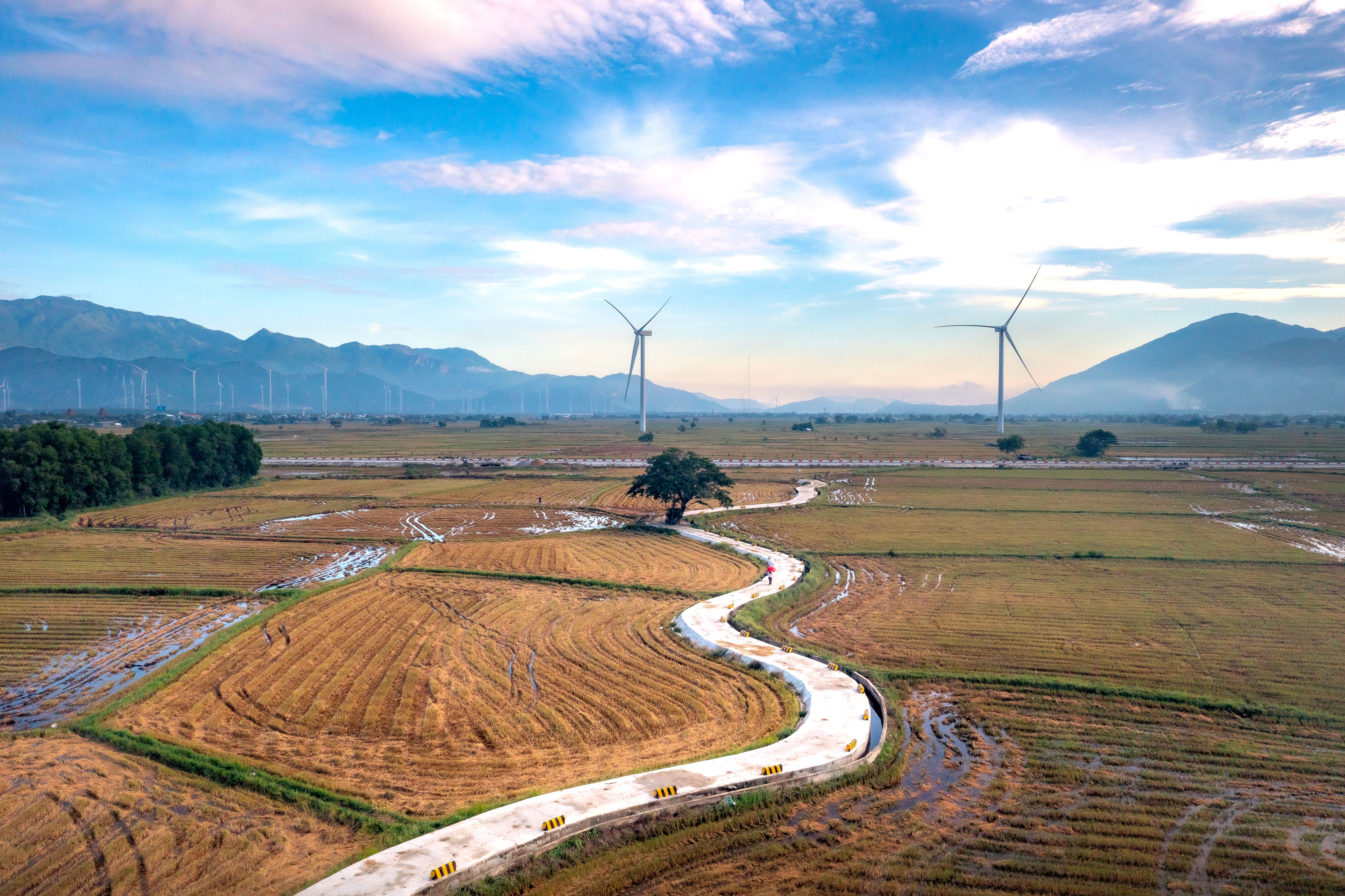 Renewable energy deployment: assessing benefits and challenges for ecosystem services — Photo by Quang Nguyen Vinh on Pexels