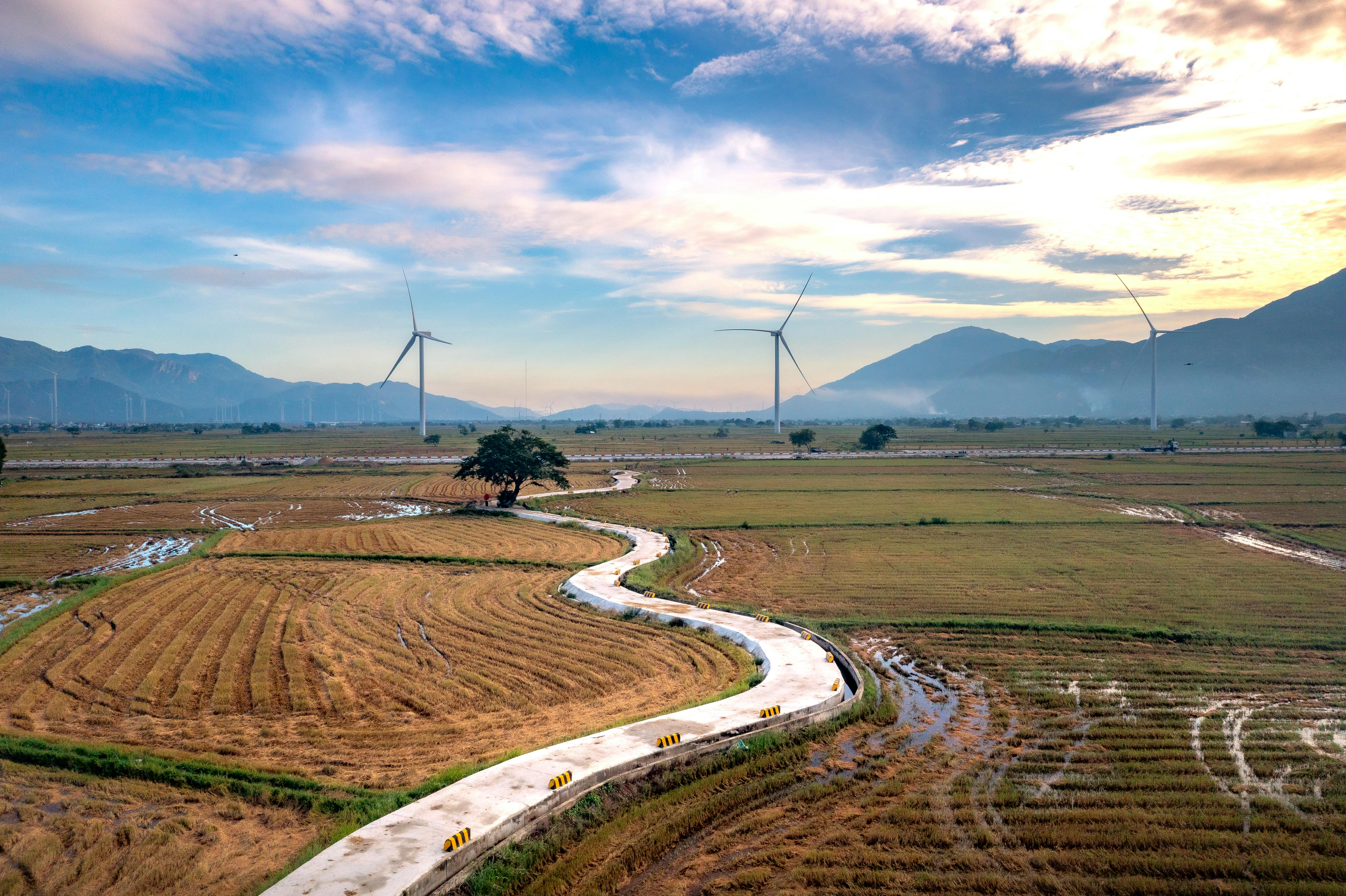 Transition to Sustainable Energy and the Role of Geneva — Photo by Quang Nguyen Vinh on Pexels