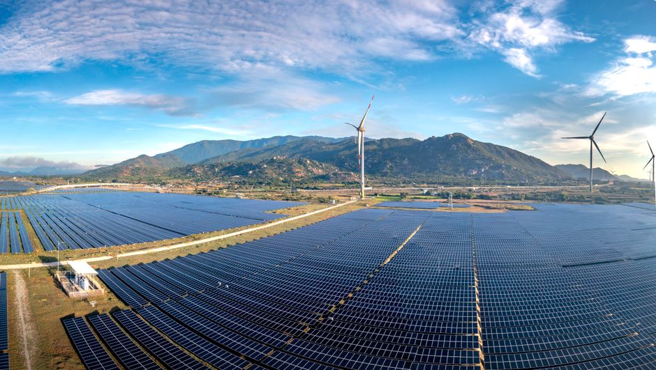 A technician monitoring solar panels on a large scale wind farm