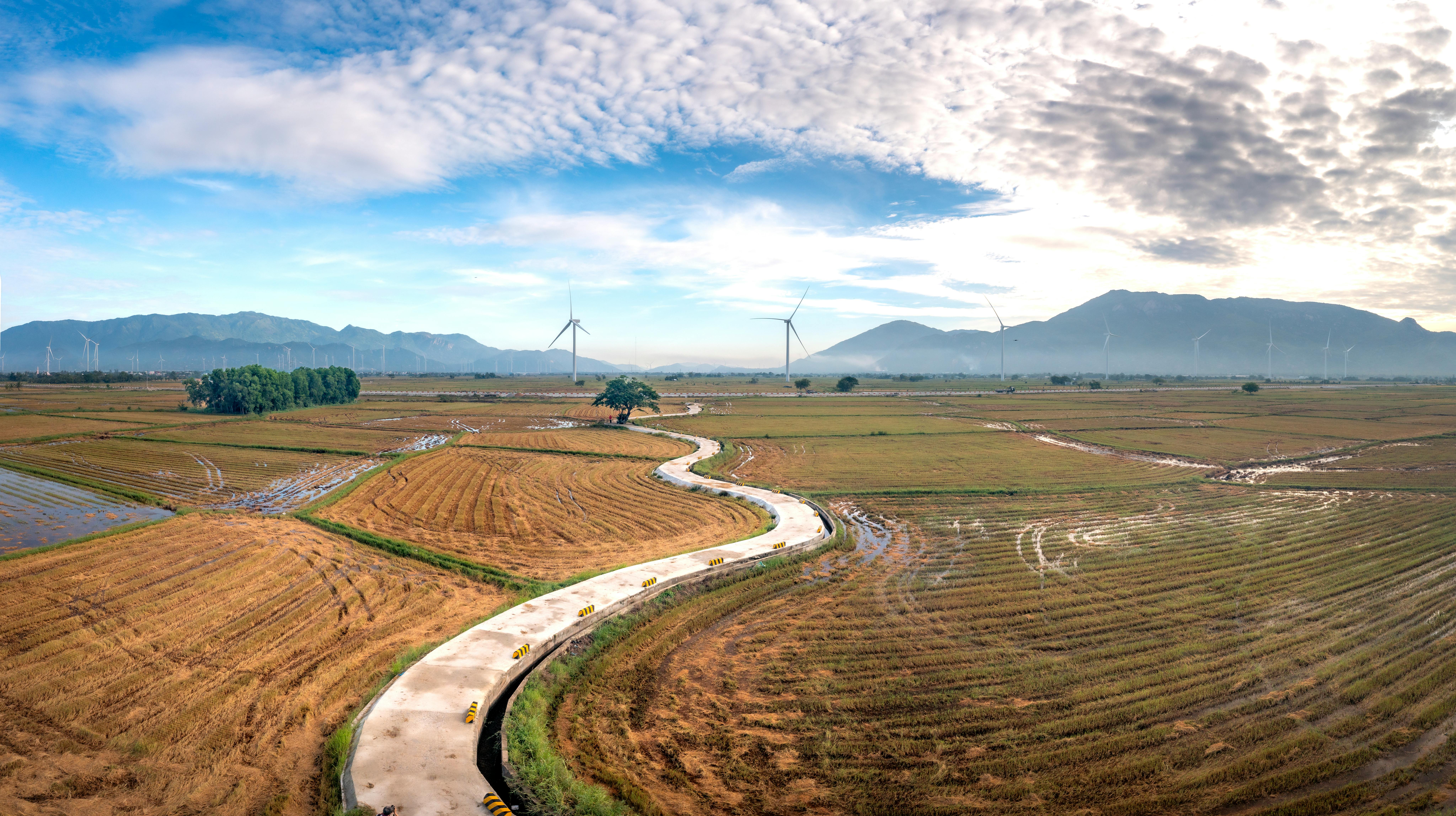Transition to Sustainable Energy and the Role of Geneva — Photo by Quang Nguyen Vinh on Pexels