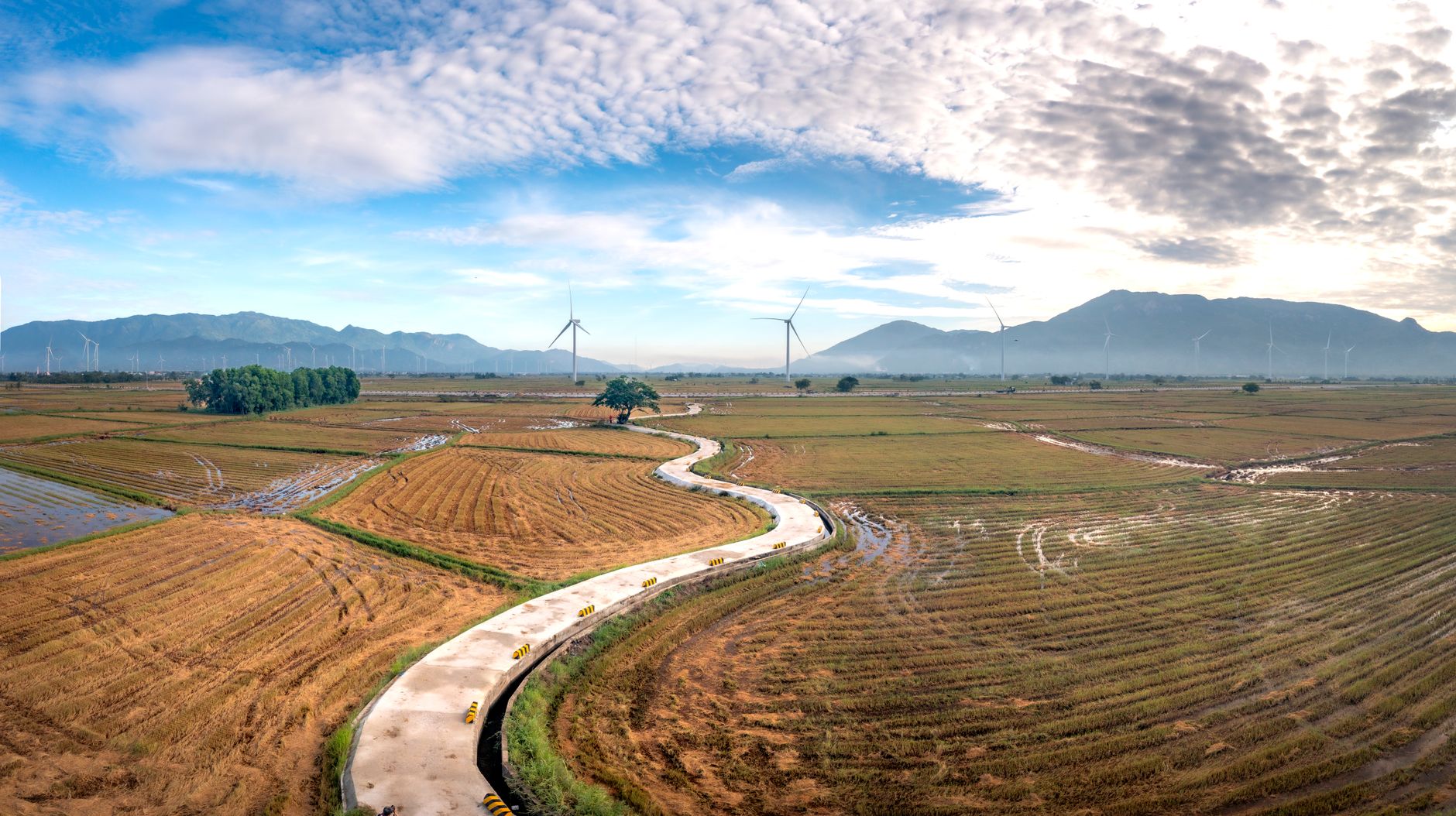 Sweeping aerial view of vibrant rice fields with wind turbines and mountains in the background.