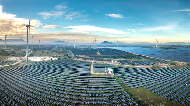 Photo by Quang Nguyen Vinh