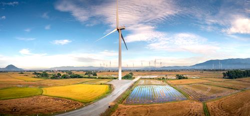 Free Panoramic view of wind turbines in Vietnam over golden rice fields and mountains, highlighting renewable energy. Stock Photo