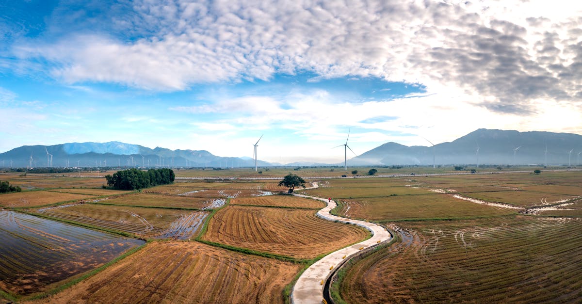 2045年までのニンチュー国家観光地建設総合計画の承認 2045年までのニンチュー国家観光地建設総合計画の承認