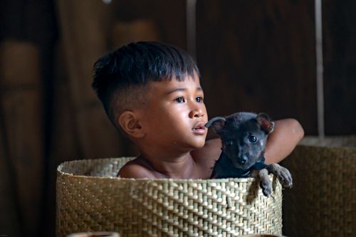 Free A young boy with a puppy inside a woven basket, showcasing innocence and companionship. Stock Photo