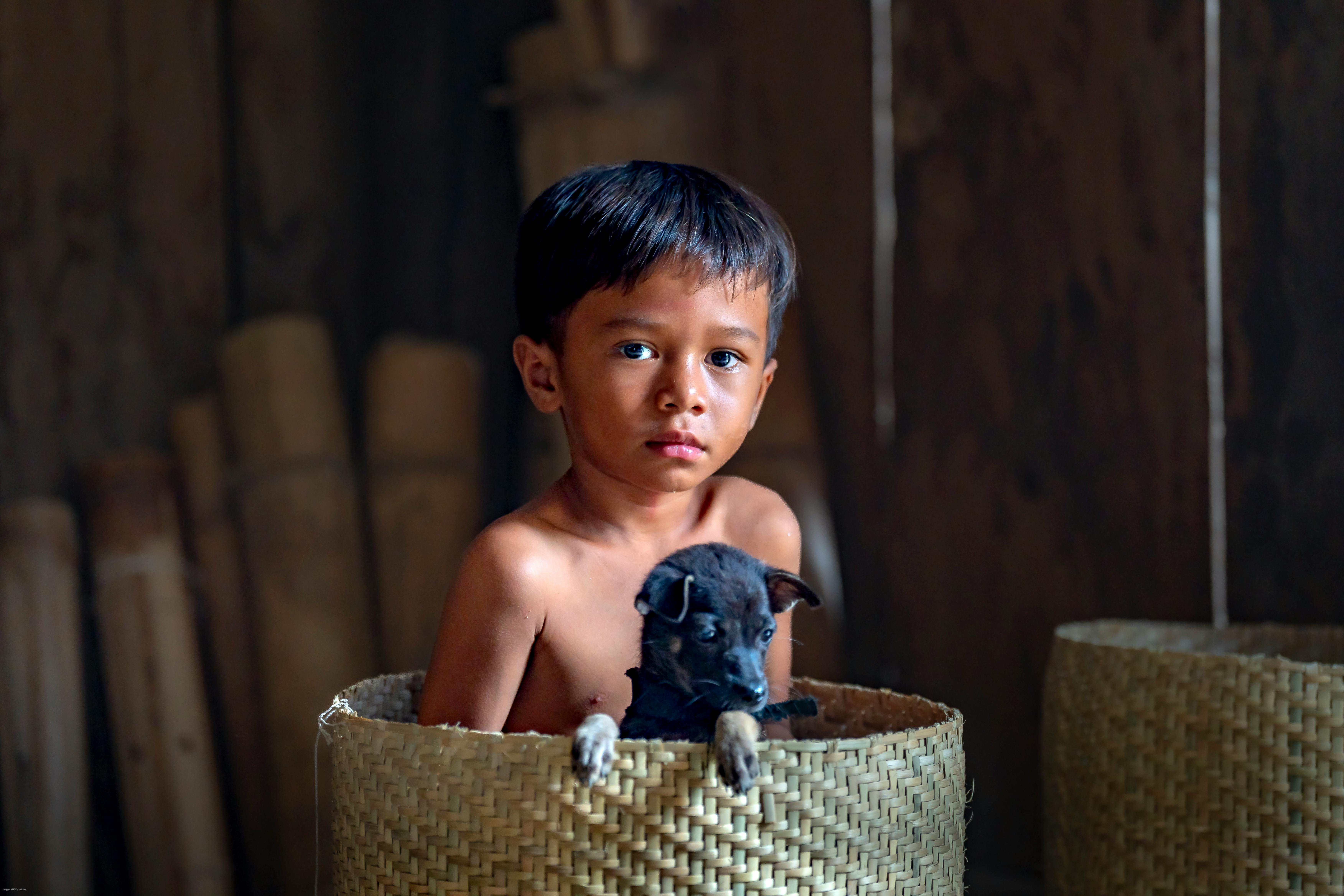 A young boy with a puppy sits inside a woven basket in a rustic indoor setting.