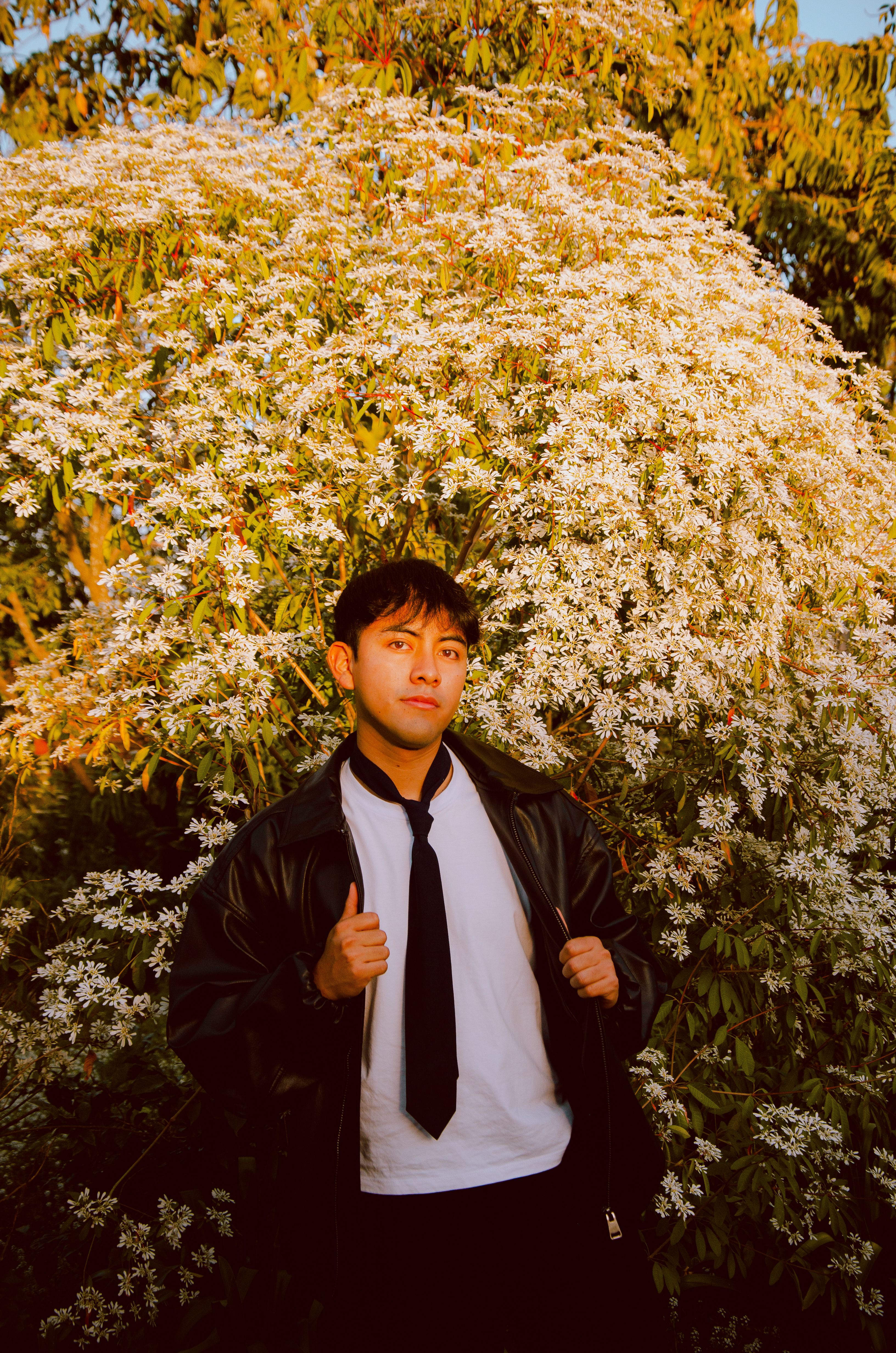 A young man in a leather jacket and tie poses confidently among abundant white blossoms during daytime.