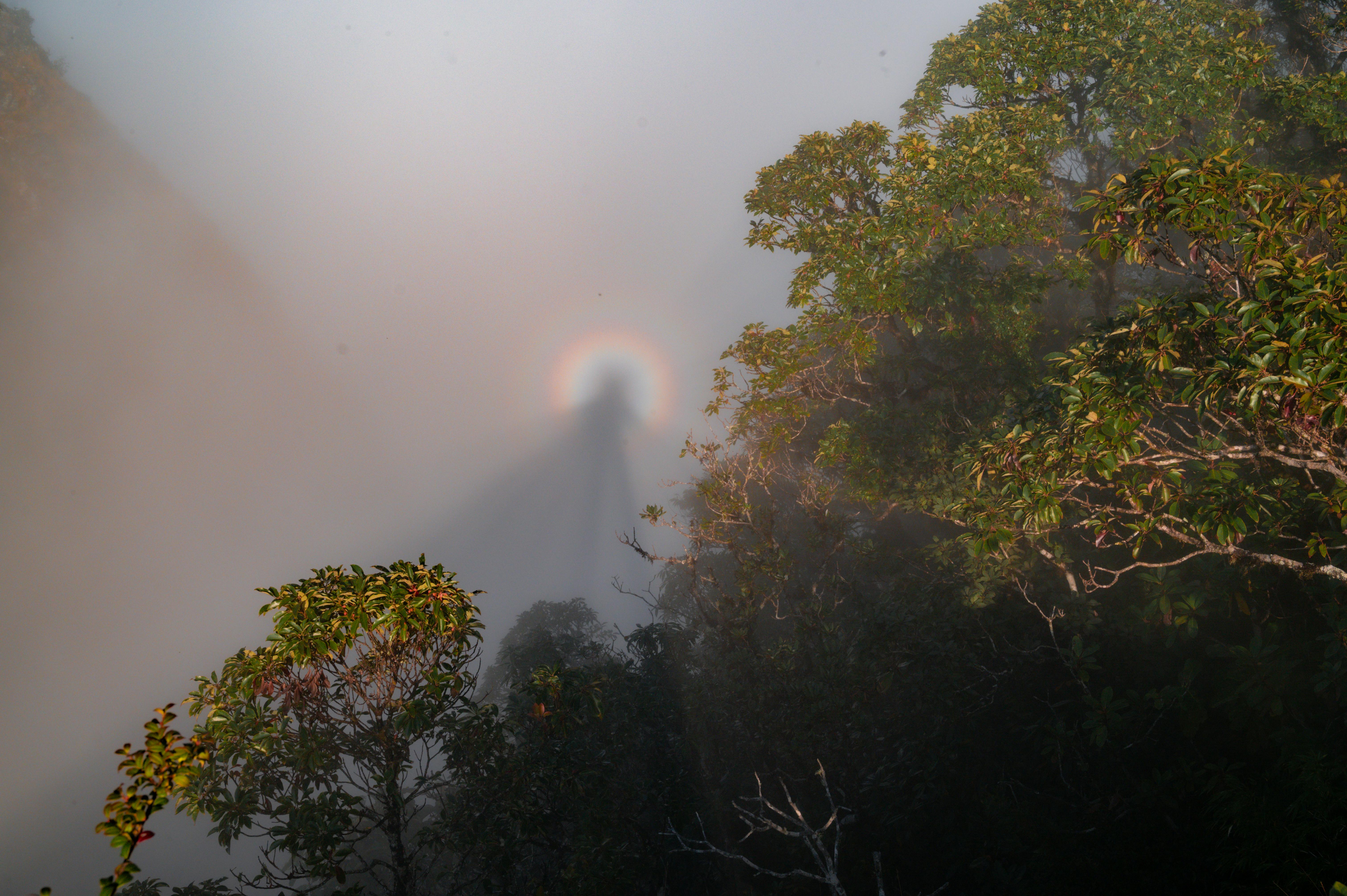 Exploring Otherworldly Experiences: A Journey Beyond Reality