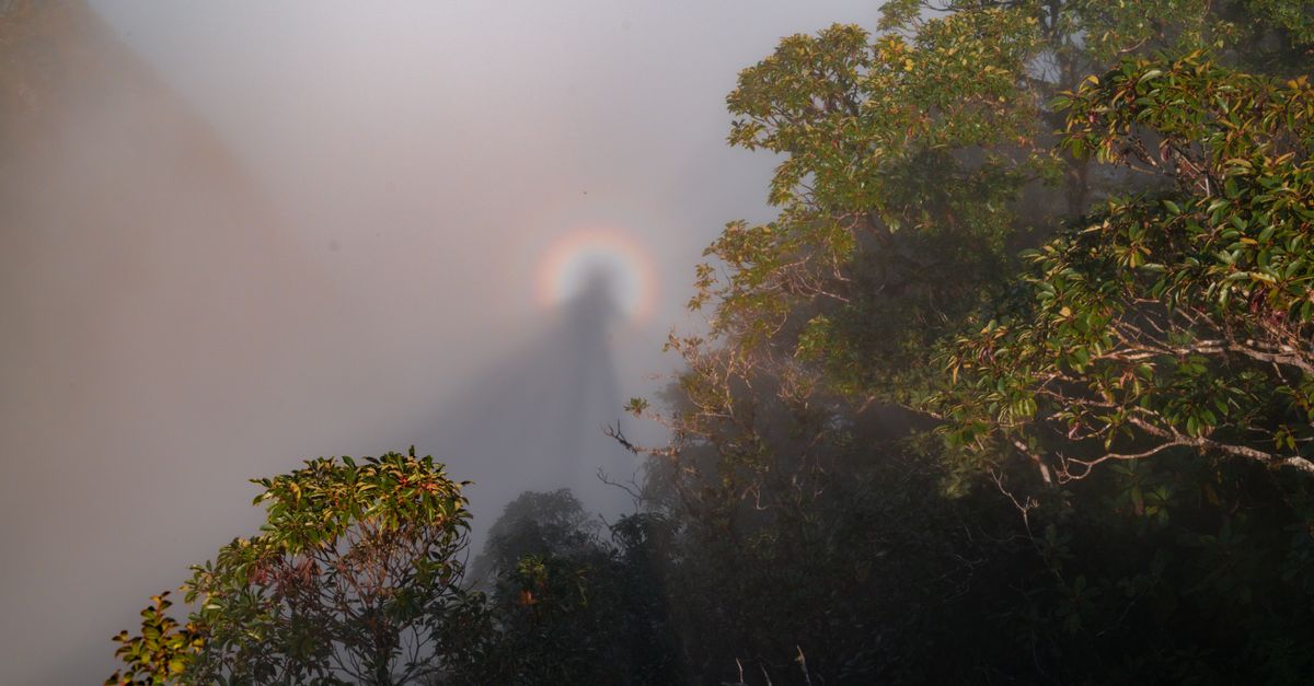 Borneo Malaysia: Orangutan Sanctuaries, Caves and Kinabalu Guide Borneo Malaysia: Orangutan Sanctuaries, Caves and Kinabalu Guide