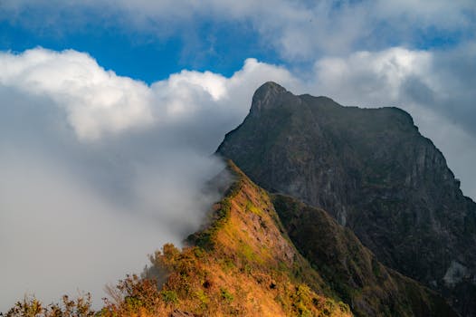 Photo by Nguyen Ngoc Tien