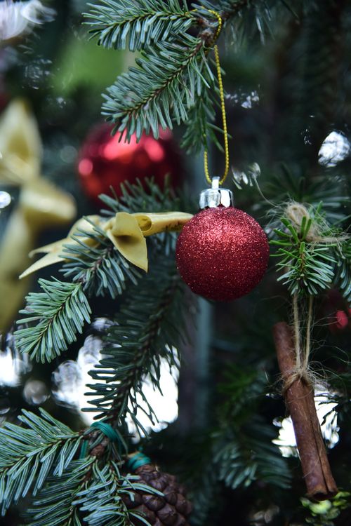 Free Festive Christmas tree with red bauble and green pine needles. Perfect holiday backdrop. Stock Photo