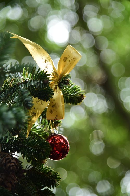 Free Festive red ornament on Christmas tree branch with glowing bokeh effect, capturing holiday spirit. Stock Photo