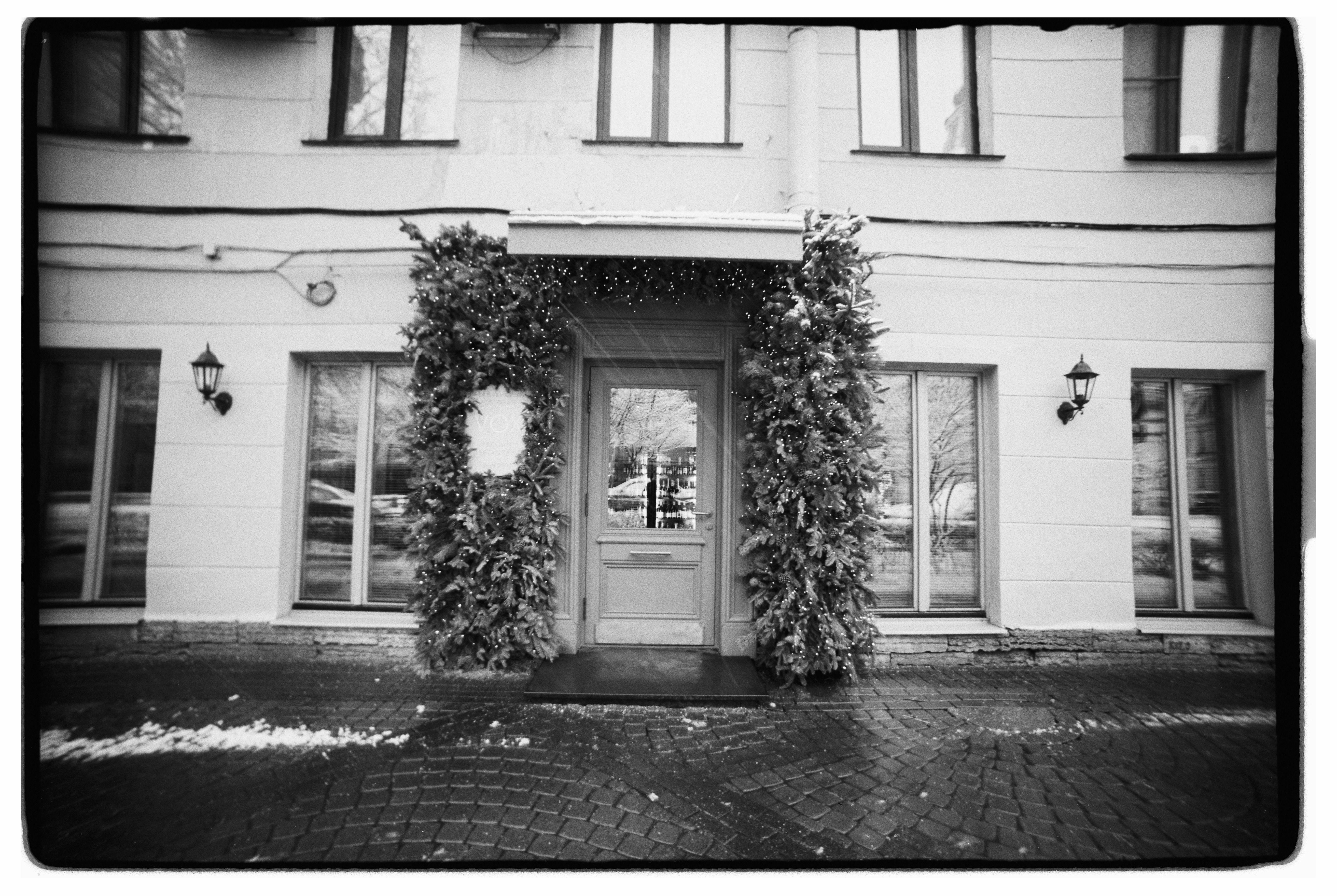 Stranger Trim Photos, Download The BEST Free Stranger Trim Stock Photos ...