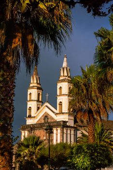 Beautiful church with two towers framed by palm trees, under a clear blue sky.