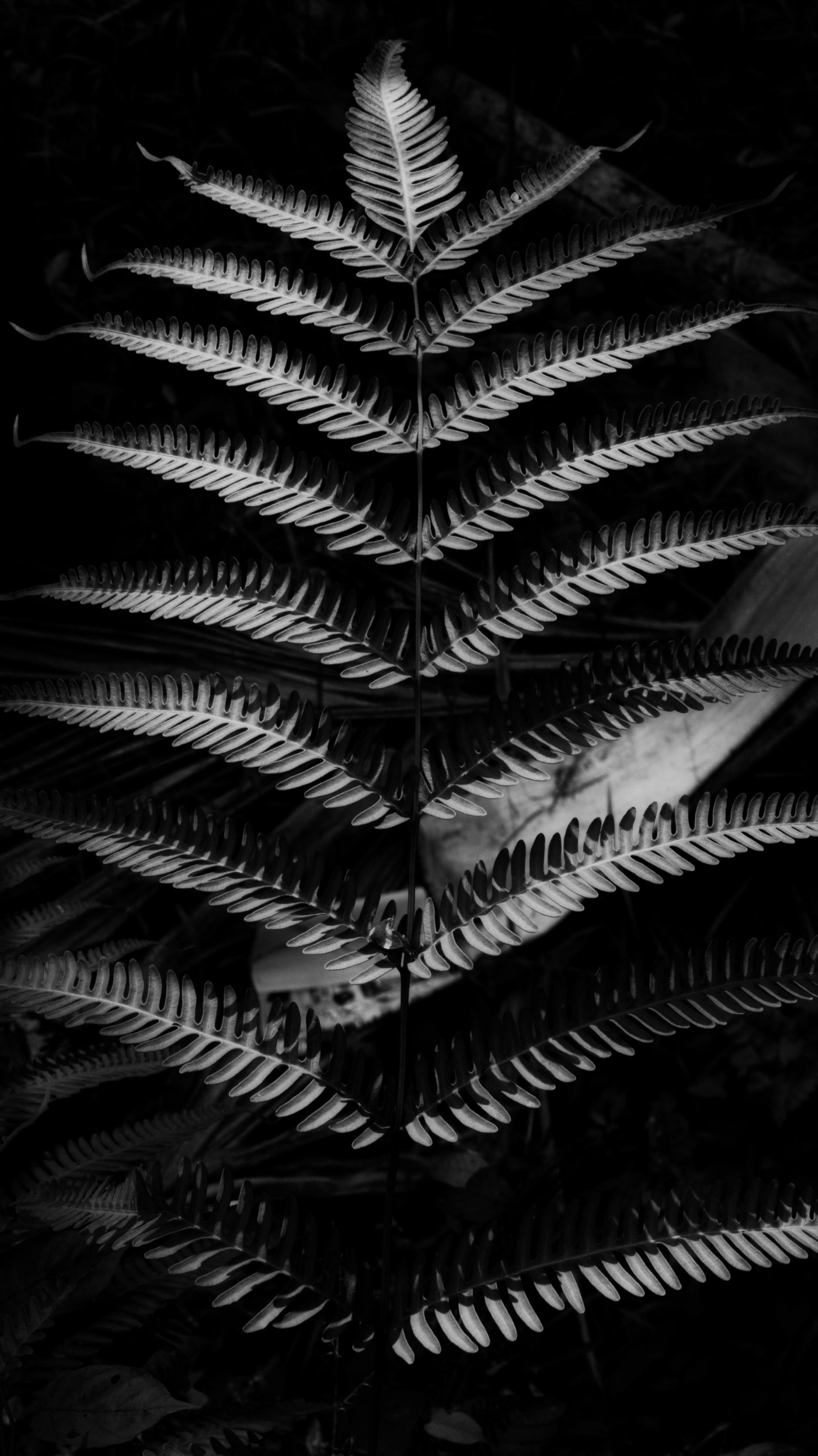 Shadow Textures Photos, Download The BEST Free Shadow Textures Stock ...