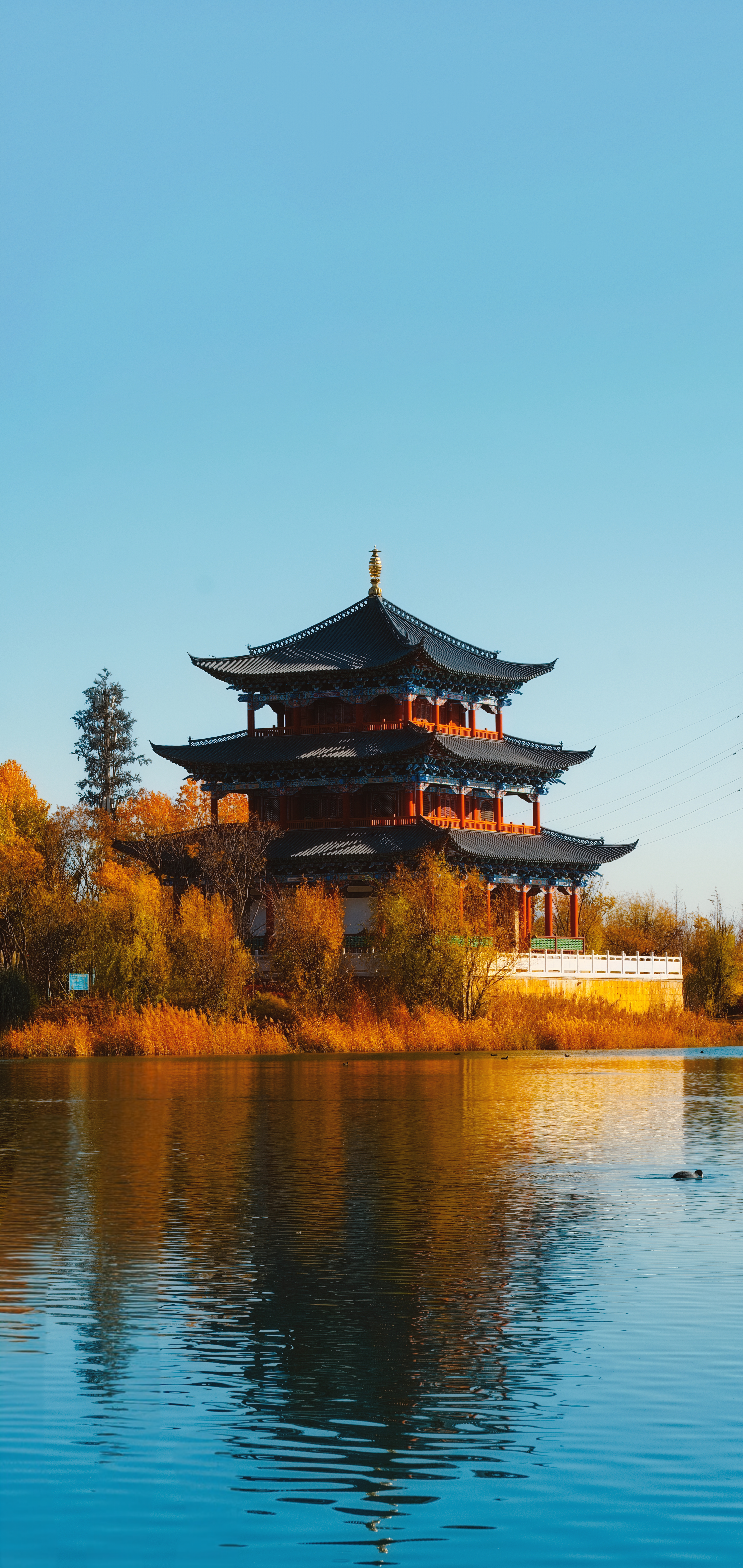 A serene view of a traditional multi-tiered pagoda beside a tranquil lake under a clear blue sky.
