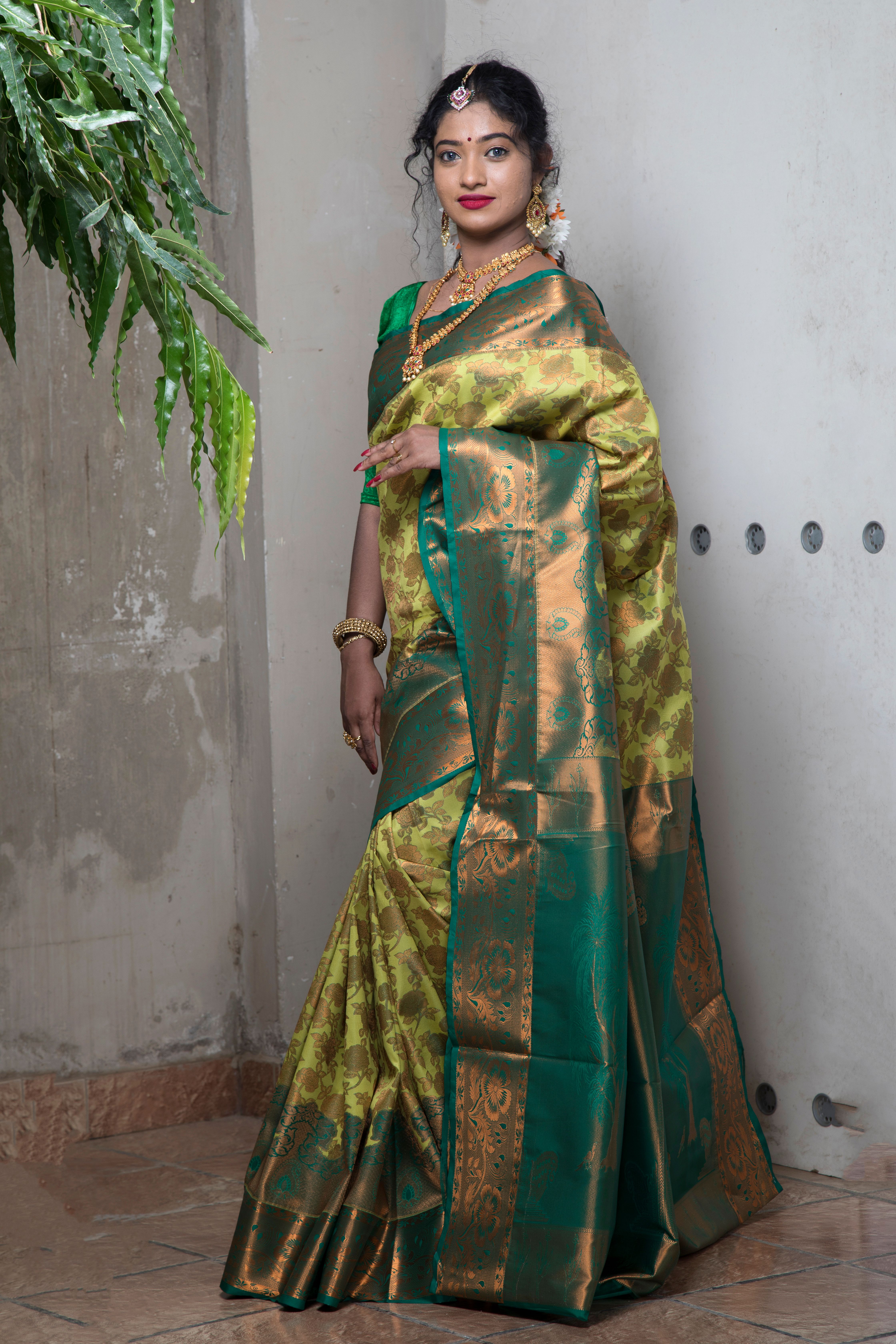 Elegant Woman in Traditional Indian Saree · Free Stock Photo