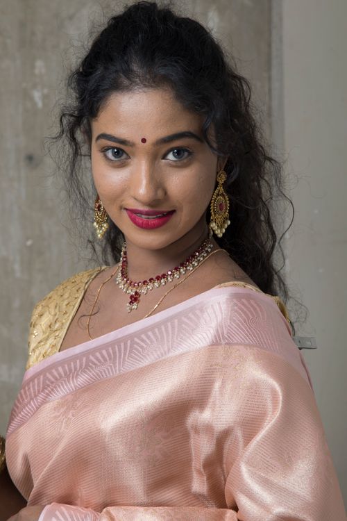 Free Portrait of an Indian woman in a pink saree with elegant jewelry. Stock Photo