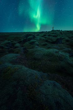 A lone figure gazes at the stunning northern lights in a remote, mossy landscape.
