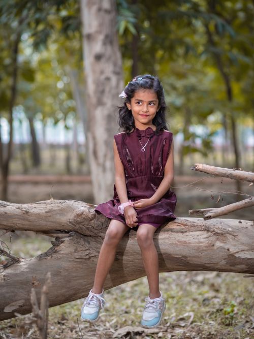 Free Young girl in a burgundy dress sitting on a tree trunk in an Indian forest. Stock Photo