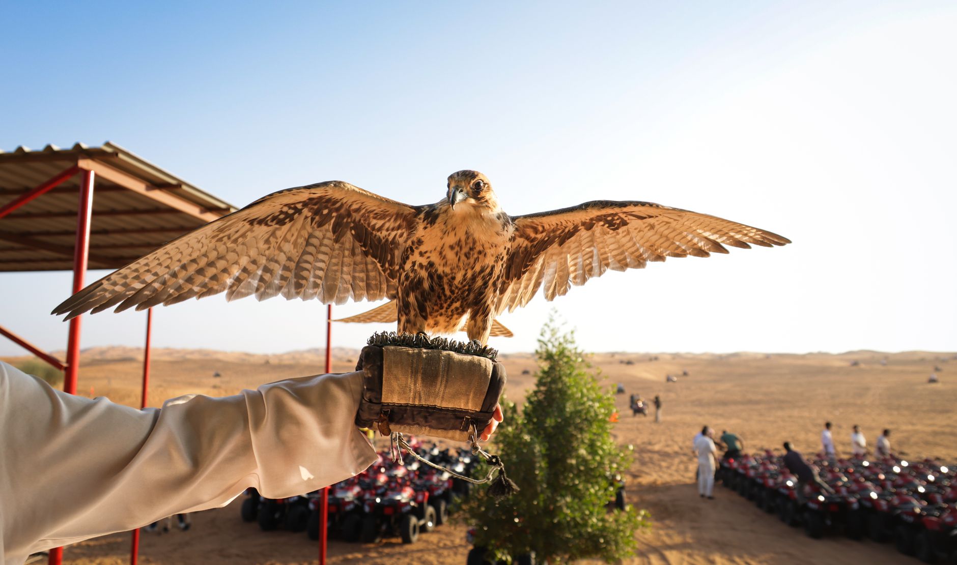 CrowdStrike Expands with Falcon IQ, Google Cloud, and Snowflake: A New Era for Threat Intelligence