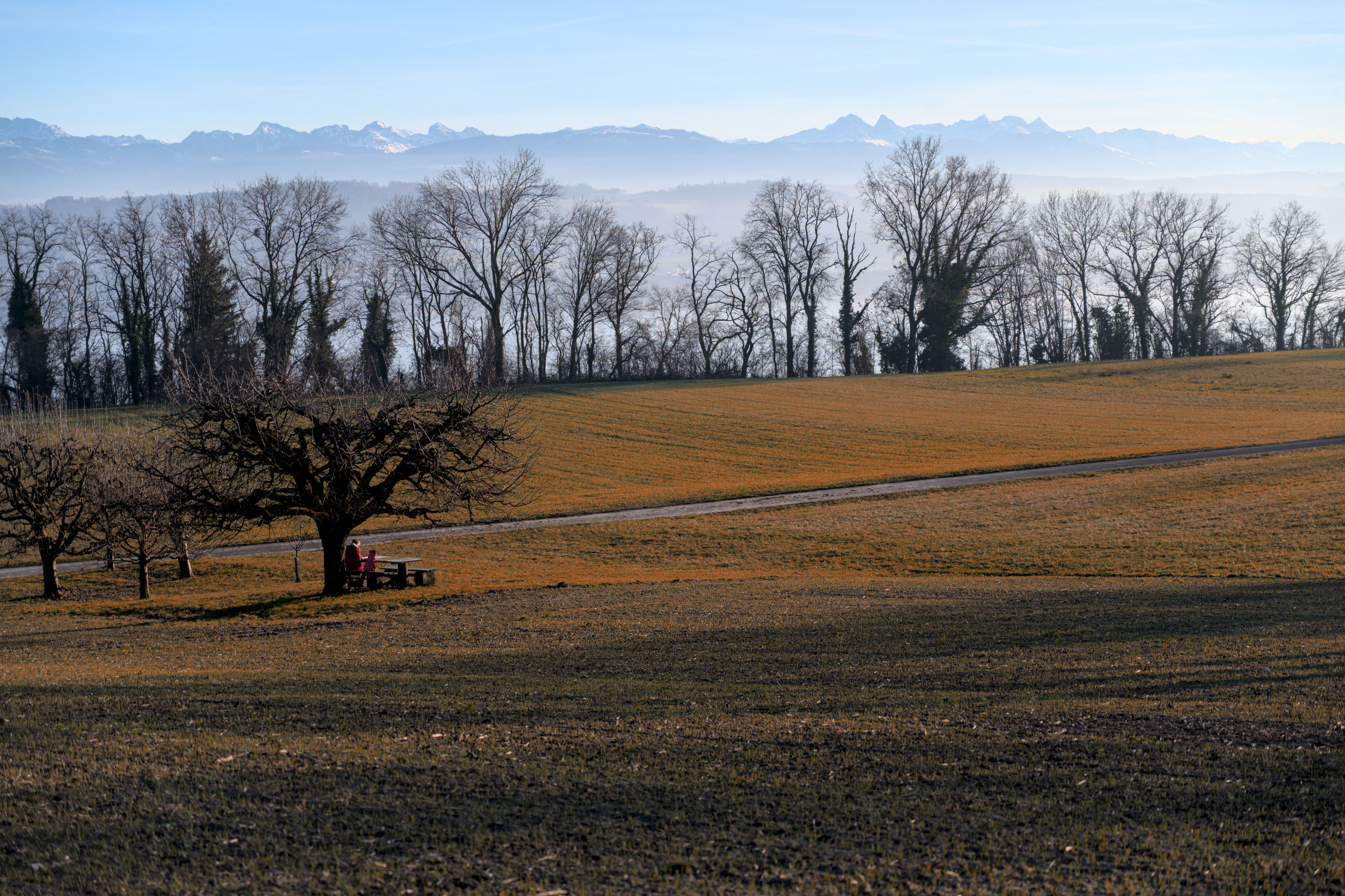 Scenic Field with Distant Mountain Views · Free Stock Photo