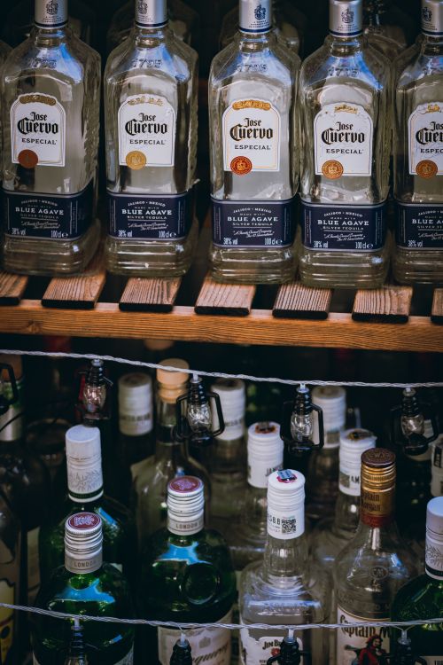 Free A variety of tequila bottles neatly arranged on bar shelves, showcasing branding and design. Stock Photo