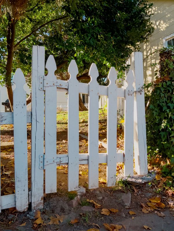 White wood picket fence in a sunlit garden