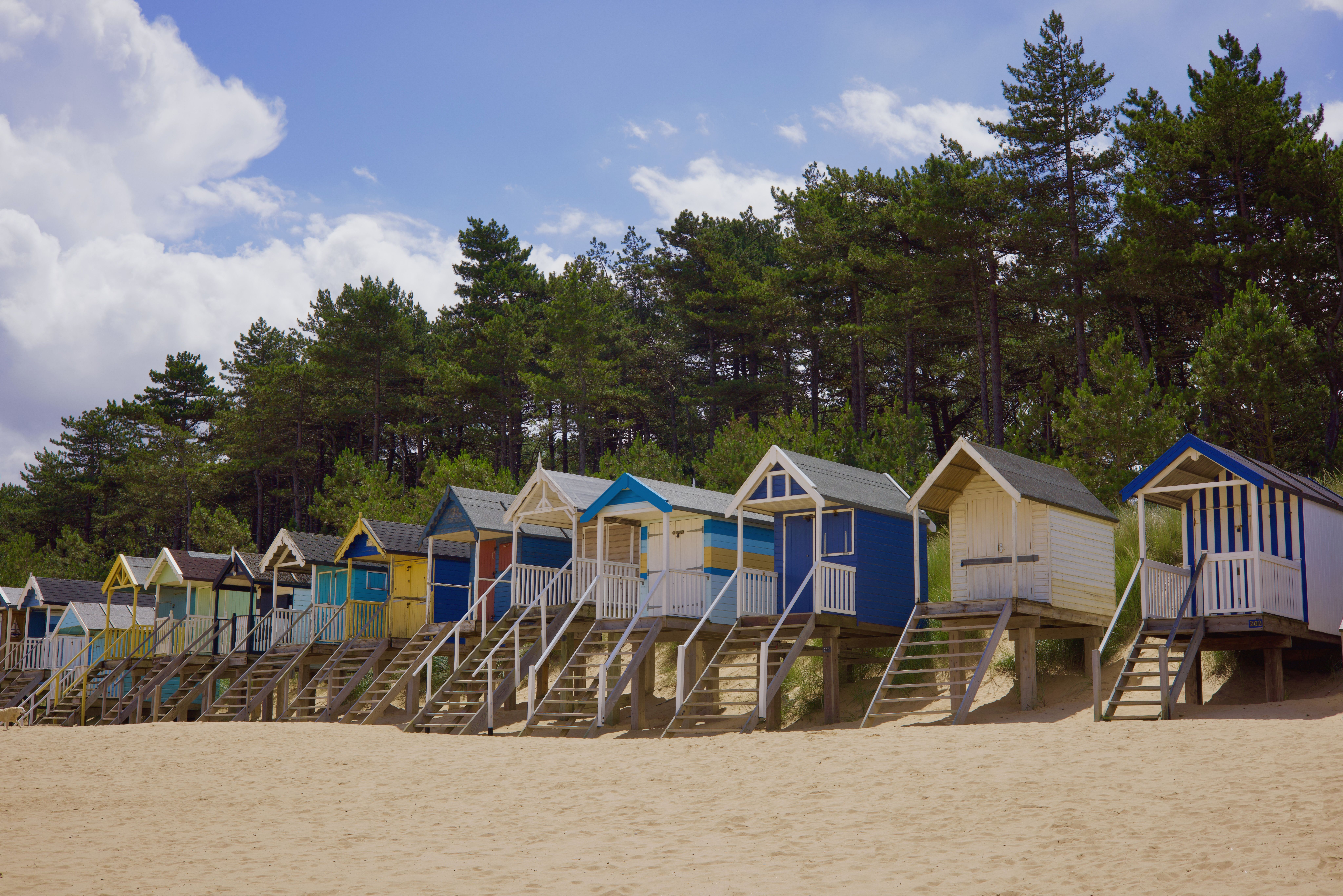 Colorful Beach Huts on Sandy Shoreline · Free Stock Photo