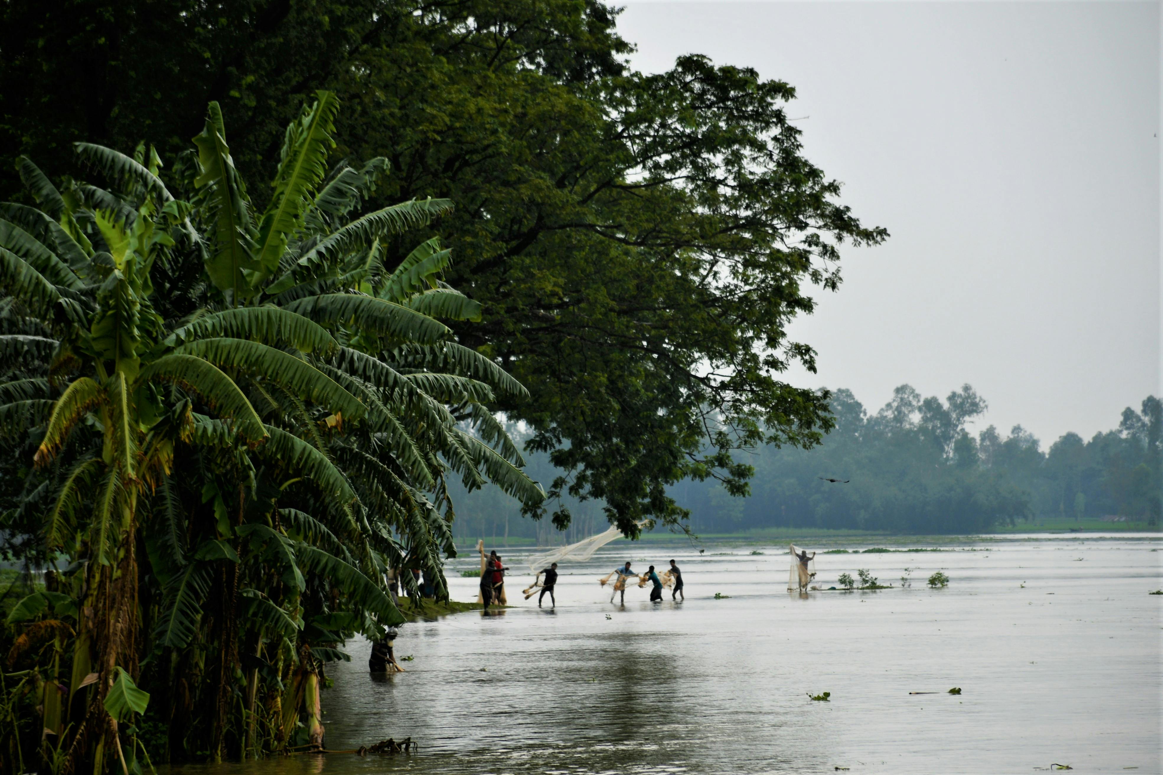 Campos agrícolas sobre una llanura aluvial en el sur de Asia