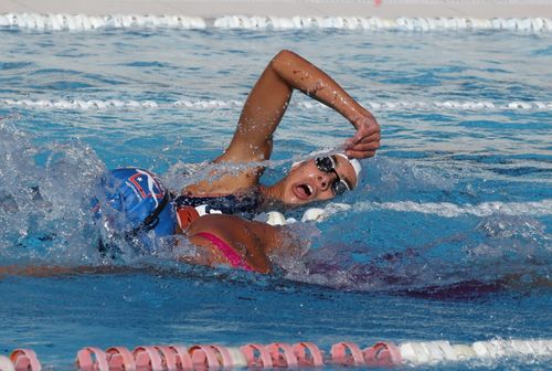 Free Focused swimmer competes in breaststroke race at sunlit outdoor swimming pool. Stock Photo