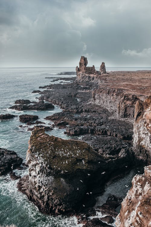 冰島, 大西洋, 岩石 的 免费素材图片