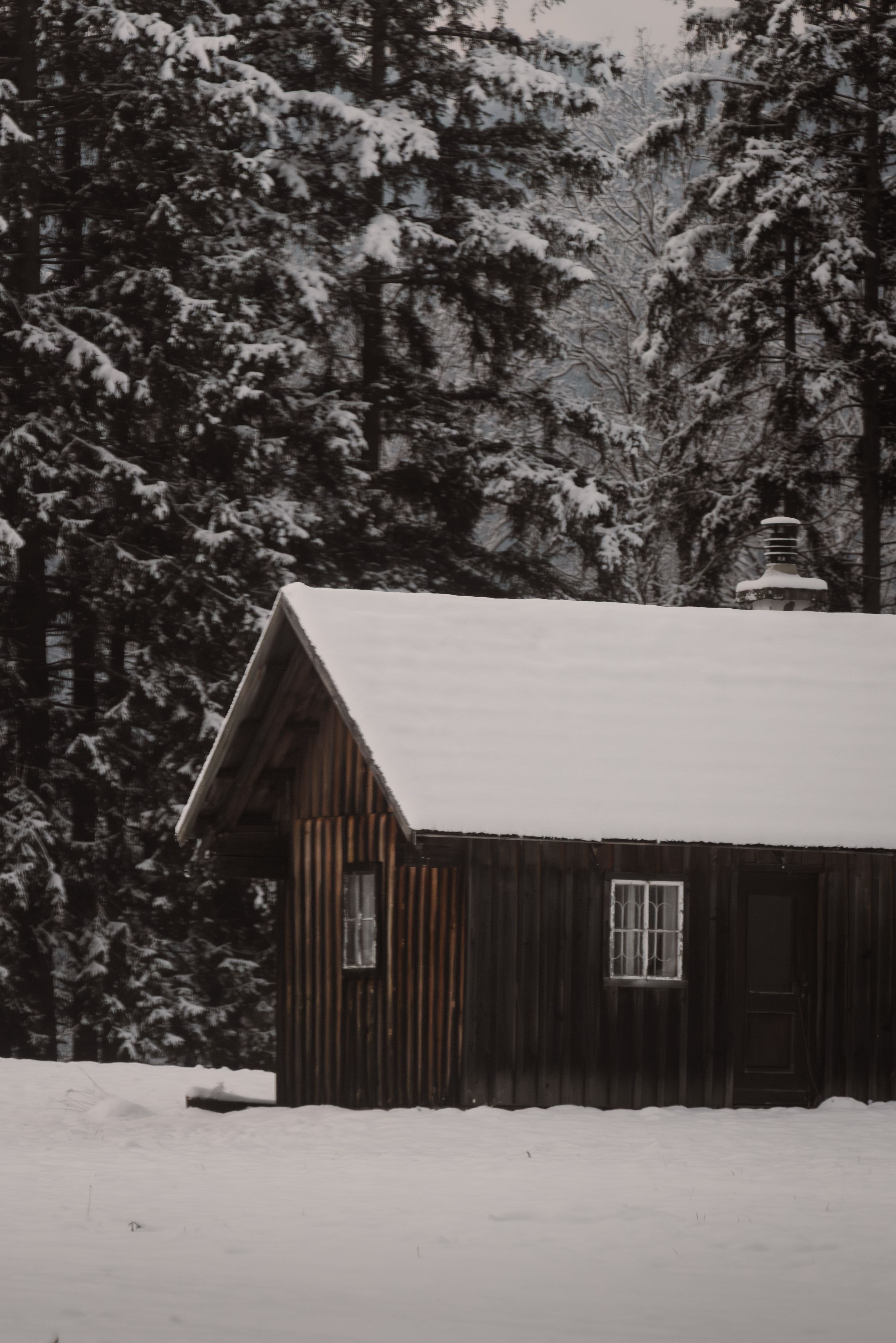 Cozy Snow-Covered Cabin in Winter Forest · Free Stock Photo