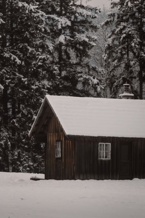 Free A rustic wooden cabin surrounded by snow-covered trees, evoking a cozy winter retreat. Stock Photo