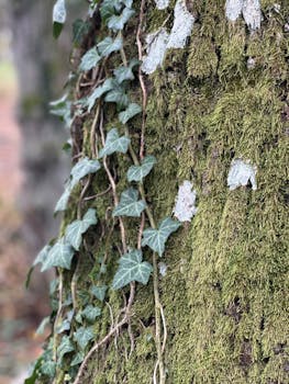 Image by Elif Çamlı