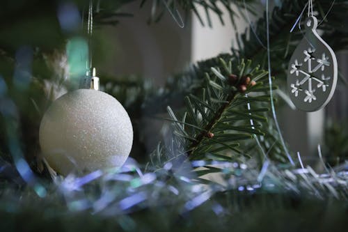 Kostenloses Stock Foto zu baum, weihnachten, weihnachtsbaum