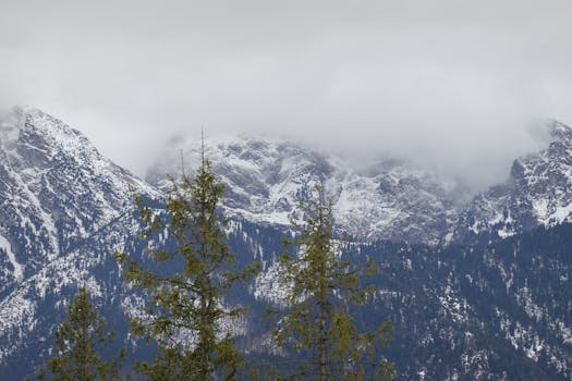 Majestic winter landscape of snow-capped Tatra Mountains with pine trees, captured in Zakopane, Poland.