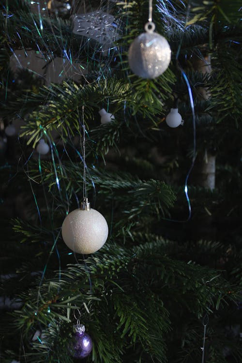 Gratis lagerfoto af jul, juledekoration, juletræ