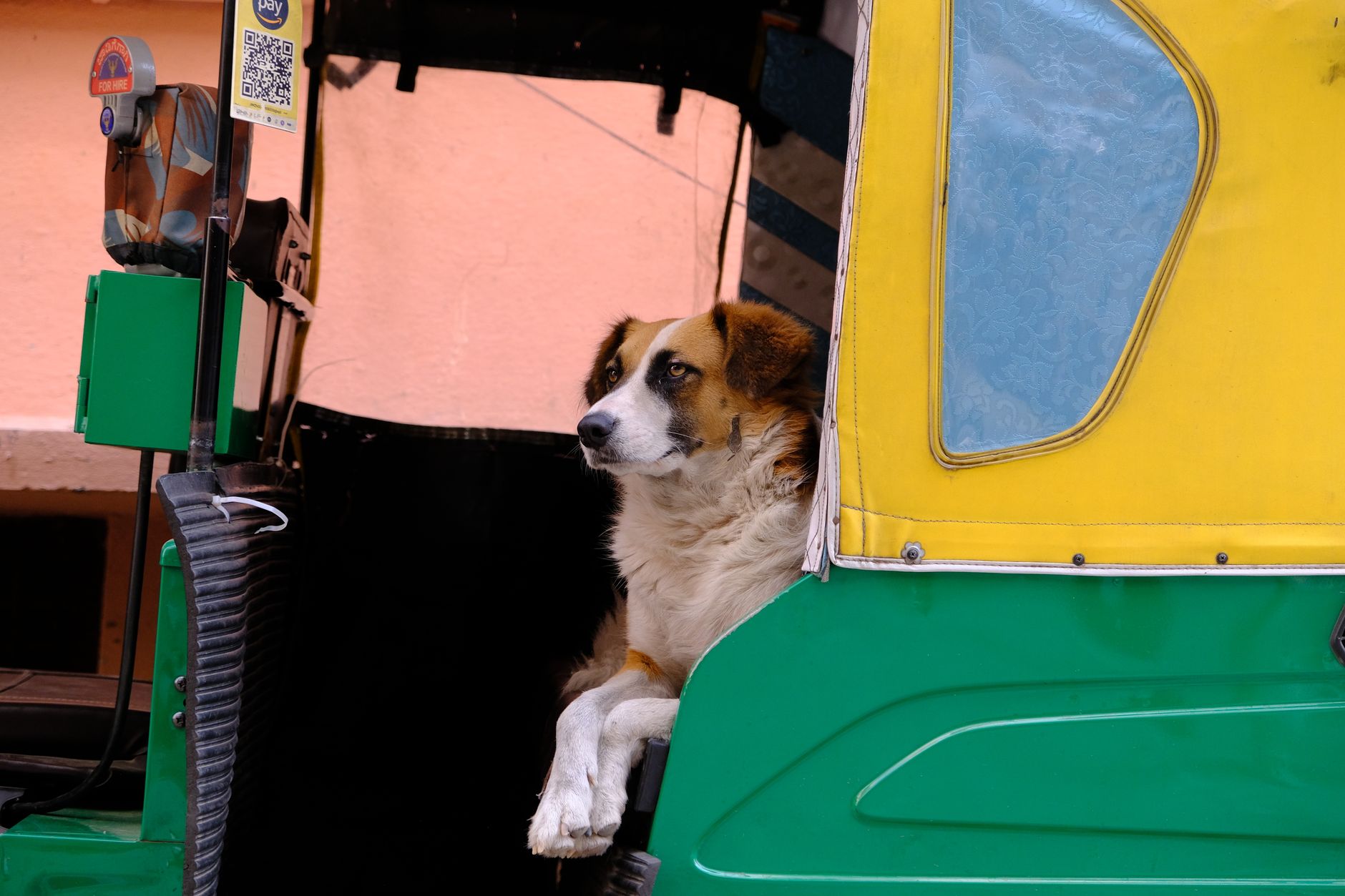 Featured image for the article: Video shows Bengaluru auto driver helping rider with stalled scooty