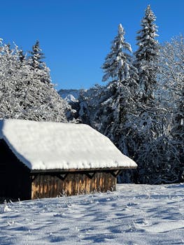 Charming snow-covered cabin amidst wintry forest landscape under clear blue sky.