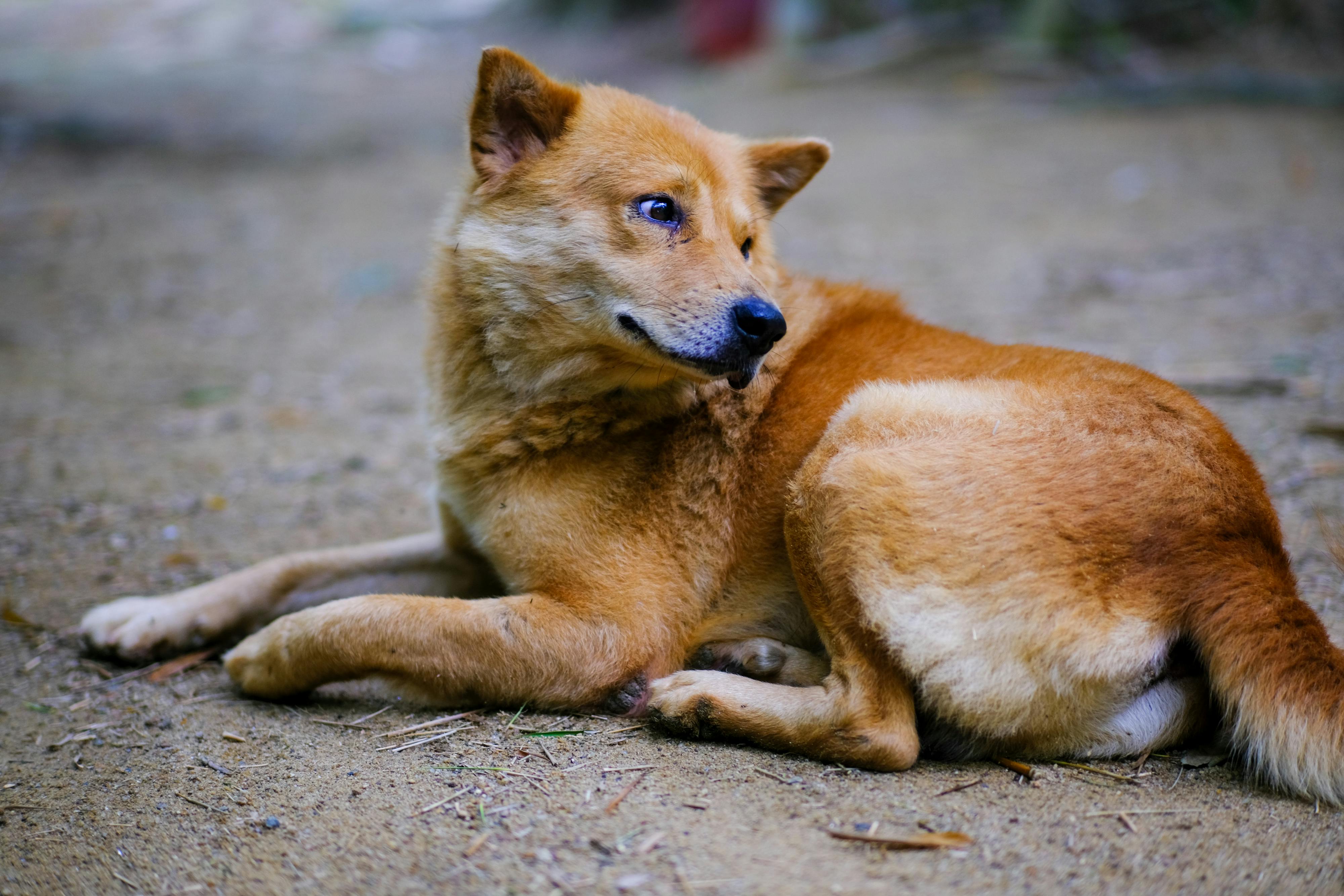 Làm thế nào để vượt qua cảm giác không thỏa đáng? 541 – nghien cuu khoa hoc, tam ly hoc, hanh vi hoc, cam giac khong thoa dang.