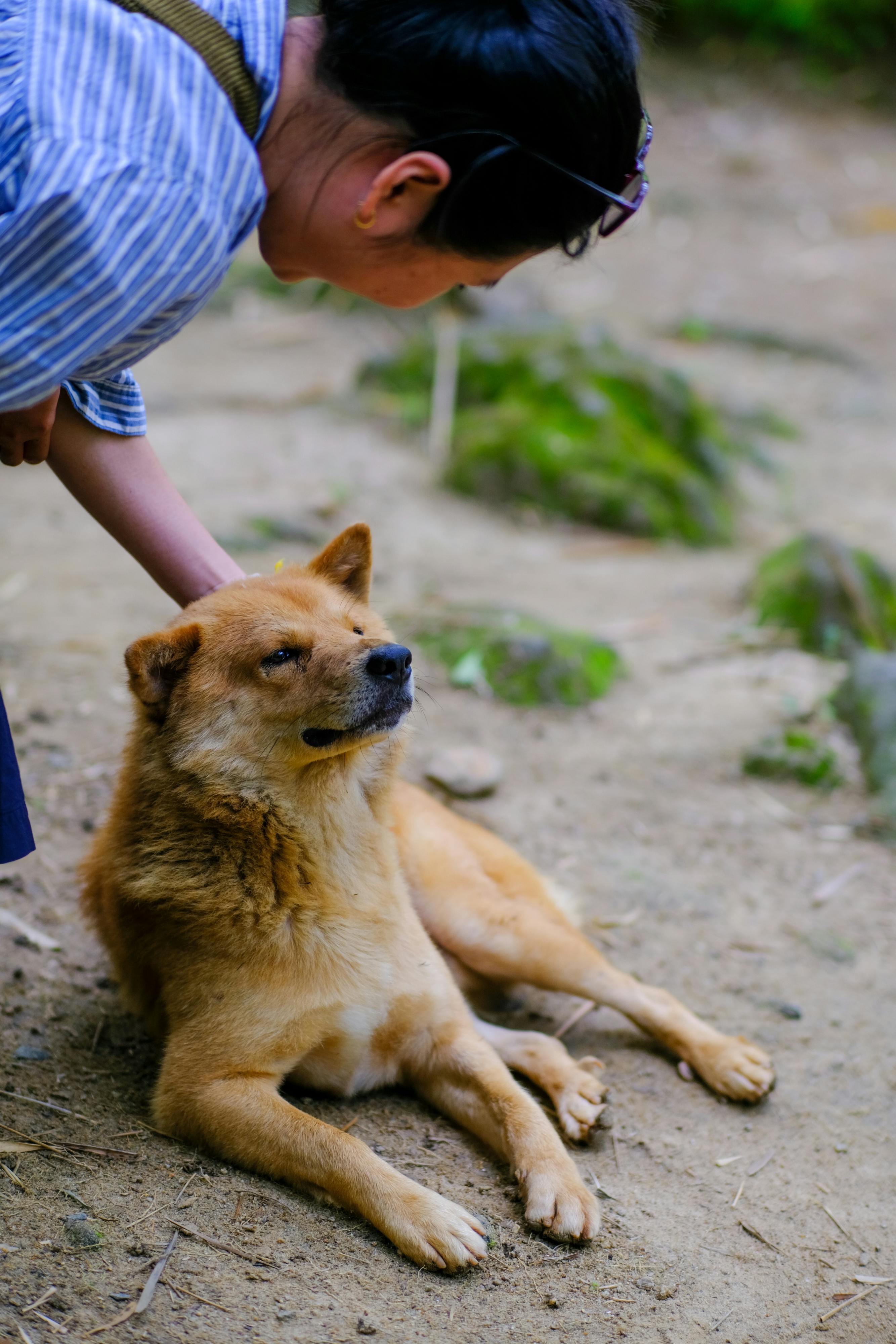 Thám tử lừng danh Conan | Chương 0982 960 – manga, gosho aoyama, case closed, tham tu lung danh conan, conan, detective conan, truyen tranh, trinh tham, pha an, trinh tham, kinh di, truyen conan, doc truyen conan, tham tu lung danh conan chuong 0982, tham tu lung danh conan 0982.