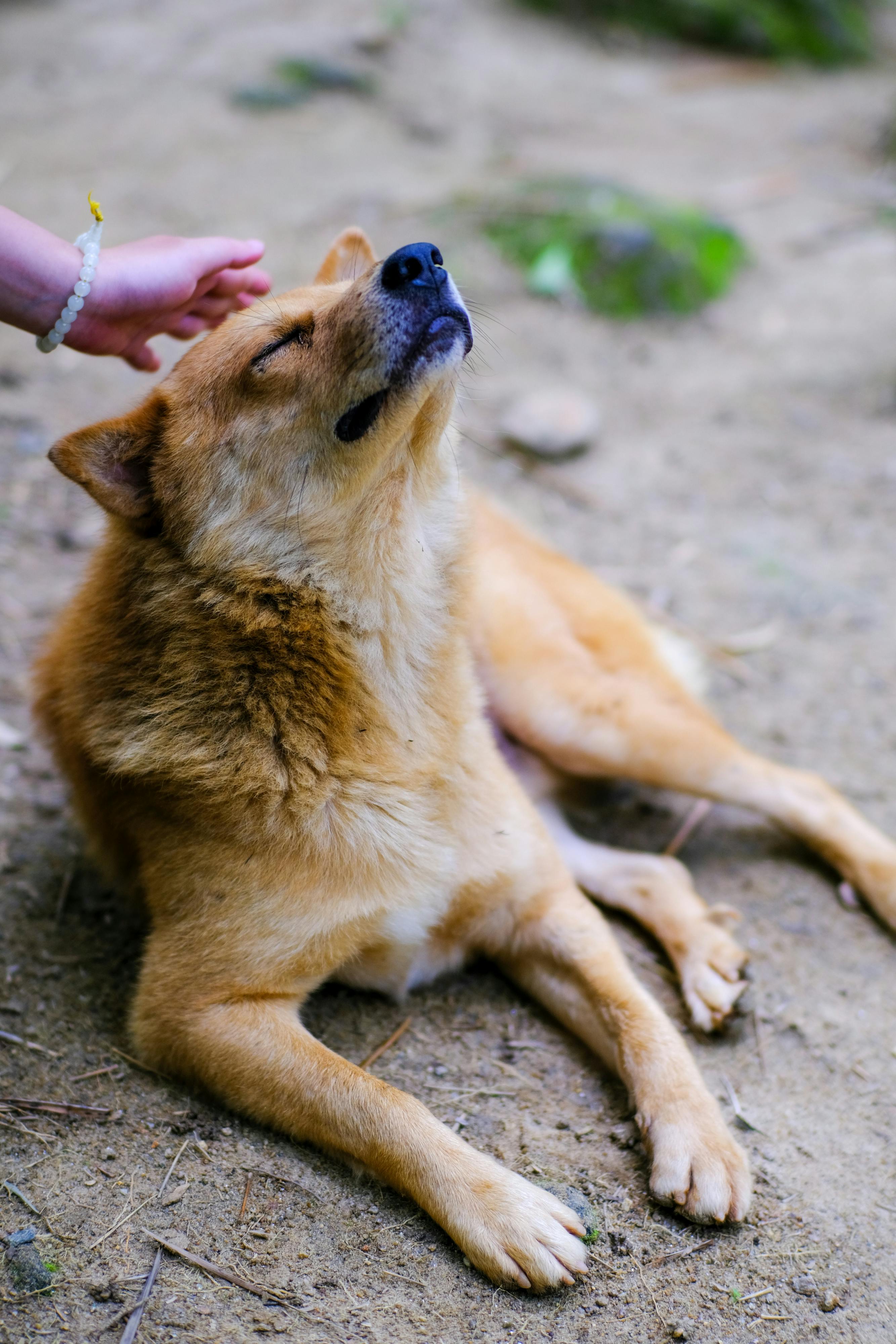 Danh sách theo thẻ tam-than-hoc, trang 3