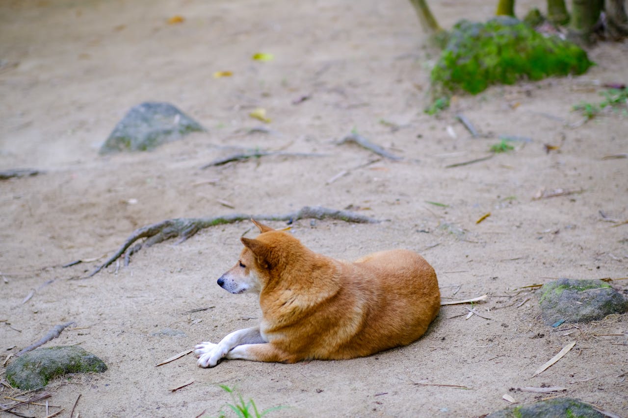 Phép lạ của sự thức tỉnh | Chương 13